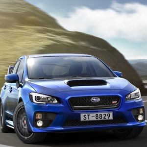 Meet your Posher, Dillon